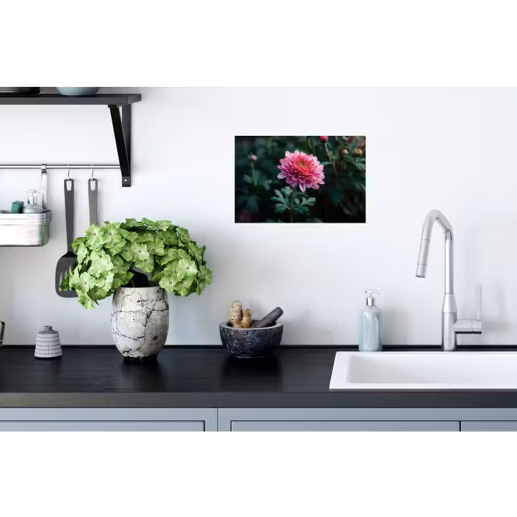 Blad - Chrysant - Roze - Schaduw Muursticker klein -keuken