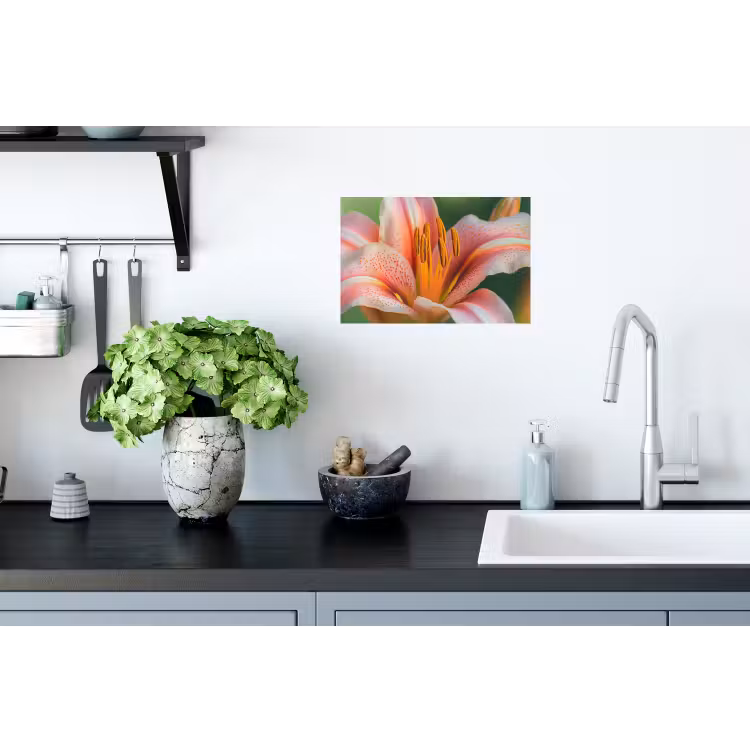 Lelie - Close up - Lichtroze Muursticker klein -keuken