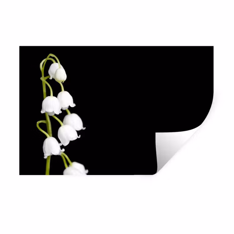 Lelietjes van dalen - Bloemen - Zwart - Flora Muursticker klein -3d
