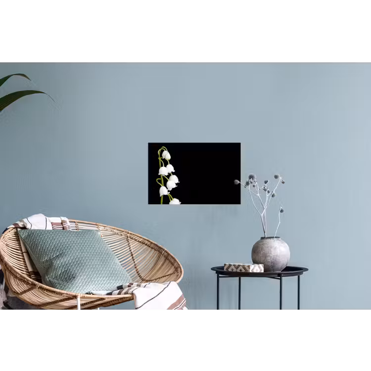 Lelietjes van dalen - Bloemen - Zwart - Flora Muursticker klein -plant