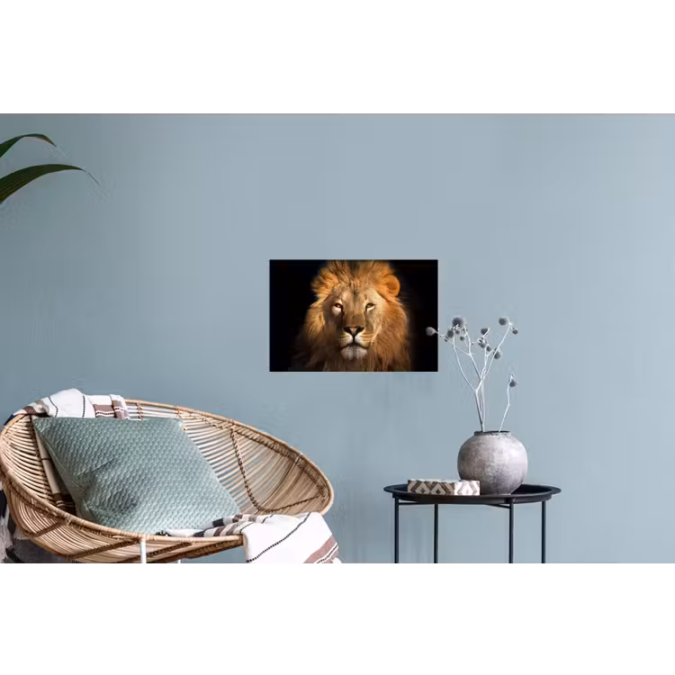 Leeuw - Dieren - Zwart - Licht - Bruin - Portret Muursticker klein -plant