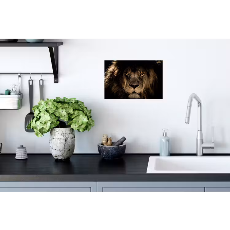 Leeuw - Dieren - Zwart - Portret Muursticker klein -keuken