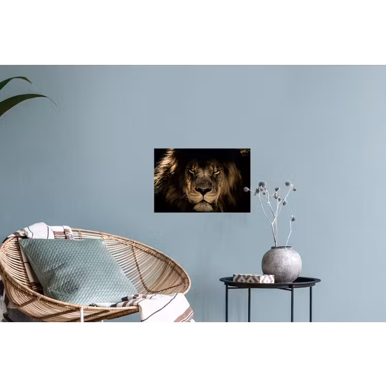 Leeuw - Dieren - Zwart - Portret Muursticker klein -plant