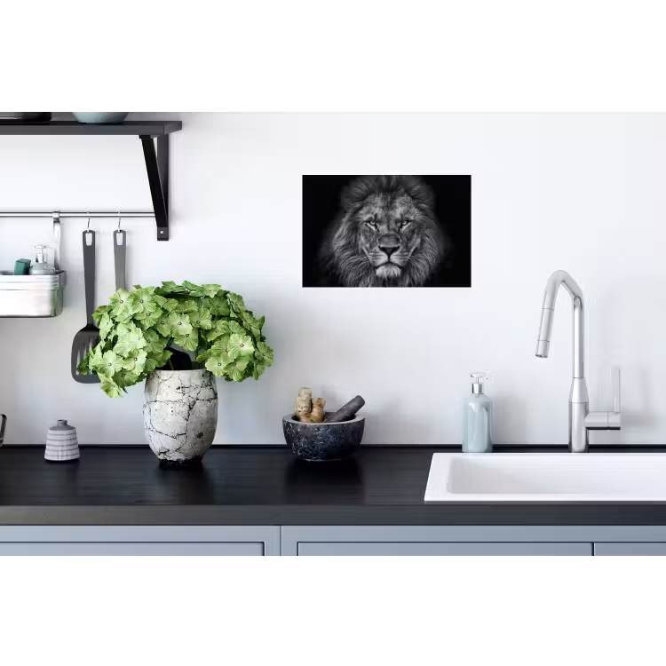 Leeuw - Dieren - Zwart - Wit Muursticker klein -keuken