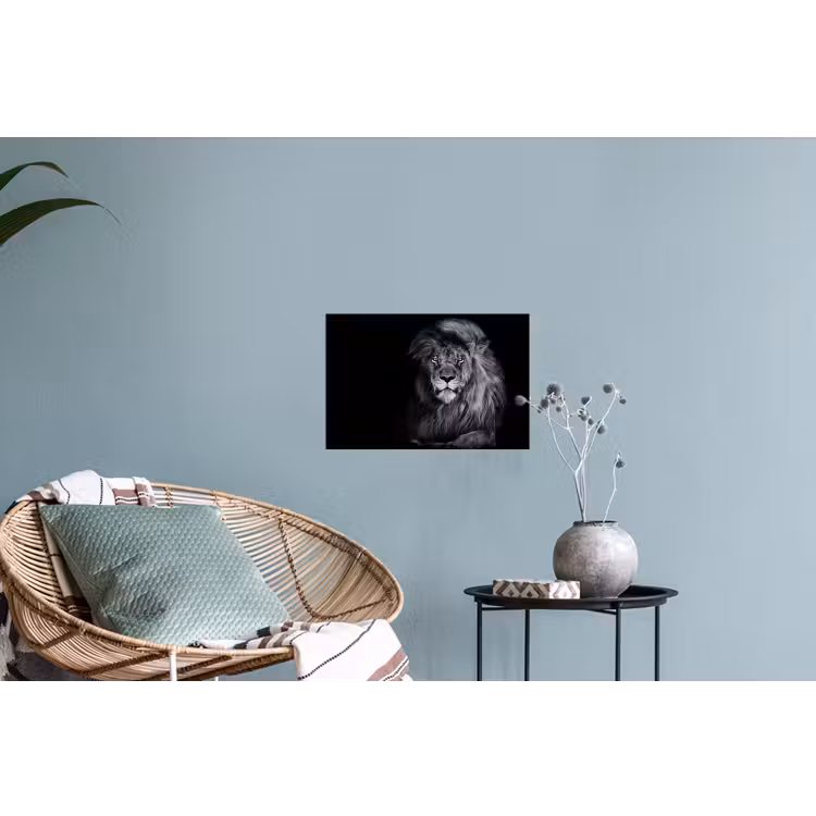 Leeuw - Ogen - Oranje - Zwart wit - Dieren - Portret Muursticker klein -plant