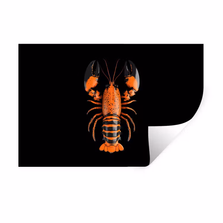Kreeft - Oranje - Zwart - Modern Muursticker klein -3d