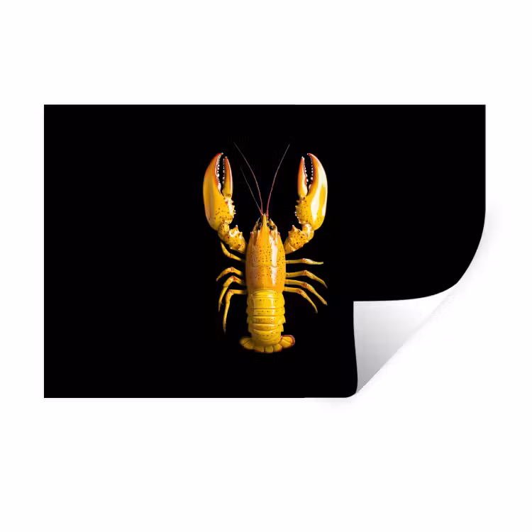 Kreeft - Geel - Stippen - Effen Muursticker klein -3d