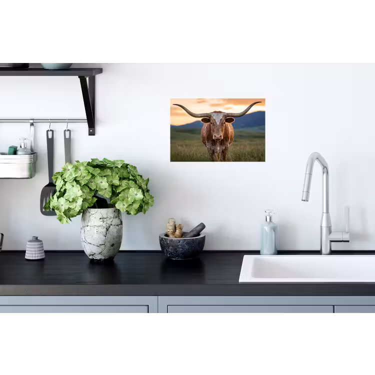 Longhorn - Landschap - Zonsondergang Muursticker klein -keuken