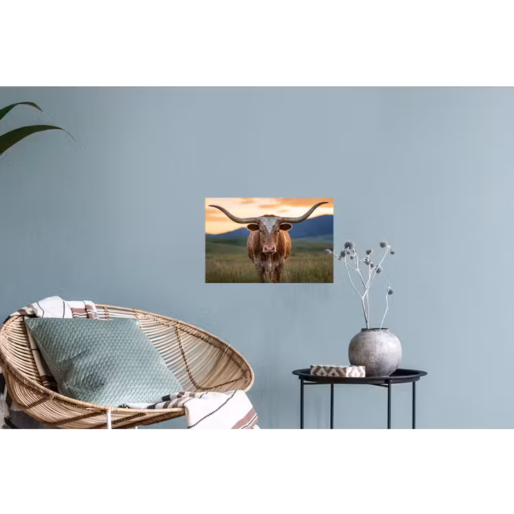 Longhorn - Landschap - Zonsondergang Muursticker klein -plant