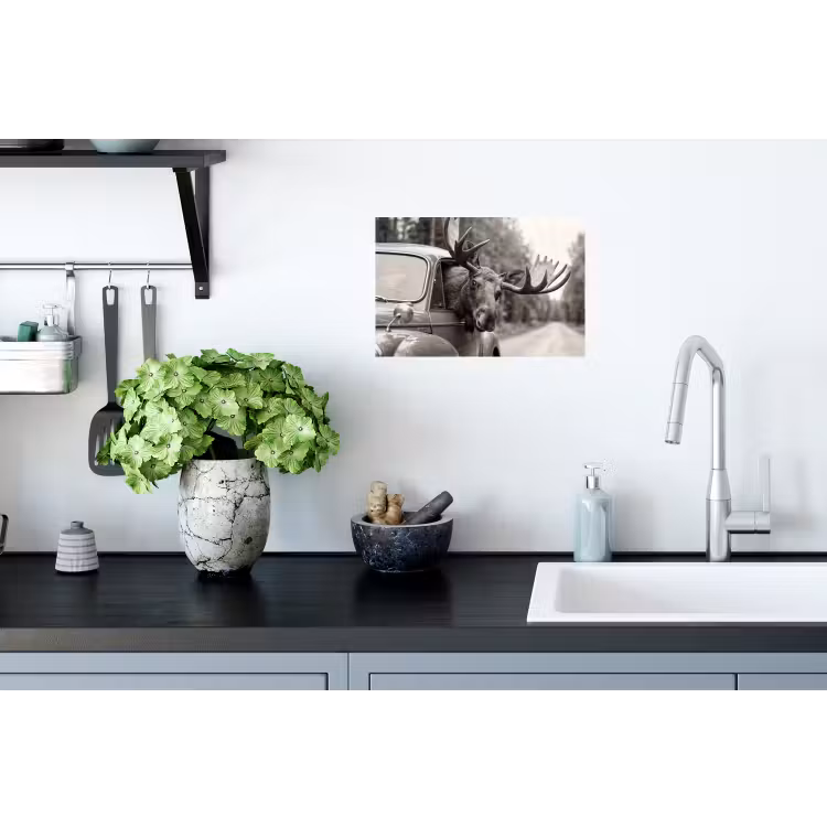 Eland - Auto - Gewei - Zwart - Wit Muursticker klein -keuken
