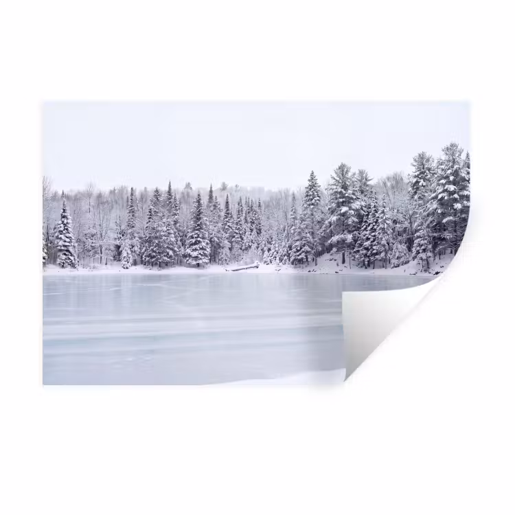 Meer - Dennen - IJs - Winter - Rustgevend Muursticker klein -3d