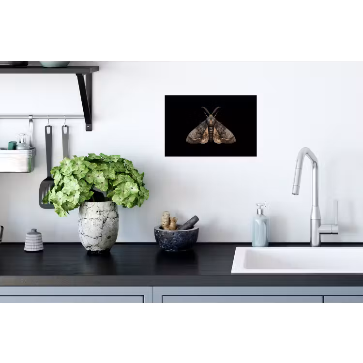 Mot - Bladachtig - Grijs Muursticker klein -keuken