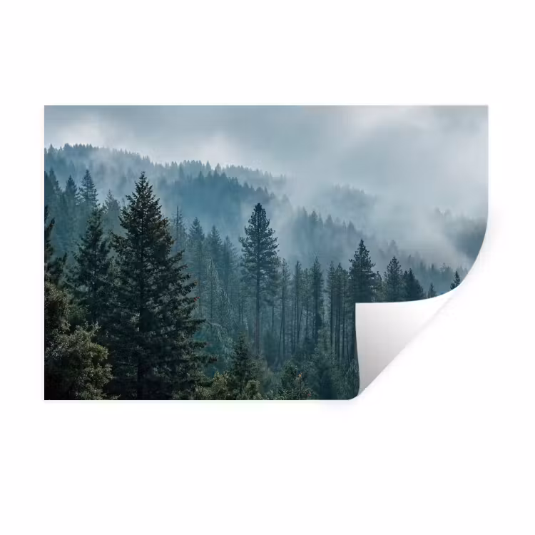 Naaldwoud - Bergen - Mist Muursticker klein -3d