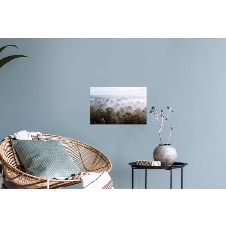 Natuur - Mist - Bos - Ochtend - Goud Muursticker klein -plant
