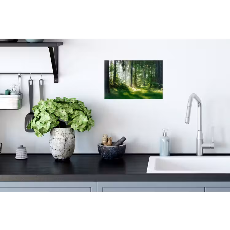 Natuur - Bomen - Bos - Groen - Zon Muursticker klein -keuken