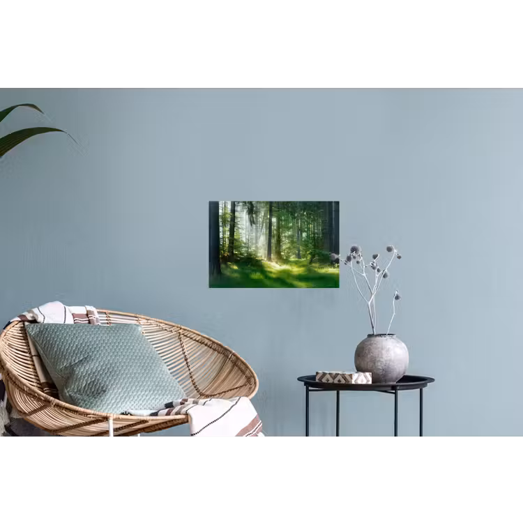 Natuur - Bomen - Bos - Groen - Zon Muursticker klein -plant
