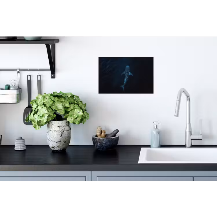 Oceaan - Walvishaai - Donkerblauw - Vlekken Muursticker klein -keuken