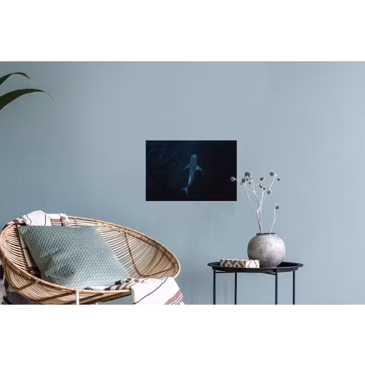 Oceaan - Walvishaai - Donkerblauw - Vlekken Muursticker klein -plant