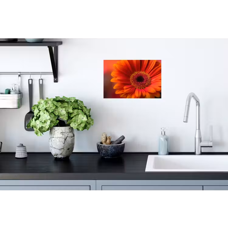 Oranje - Gerbera - Intens Muursticker klein -keuken