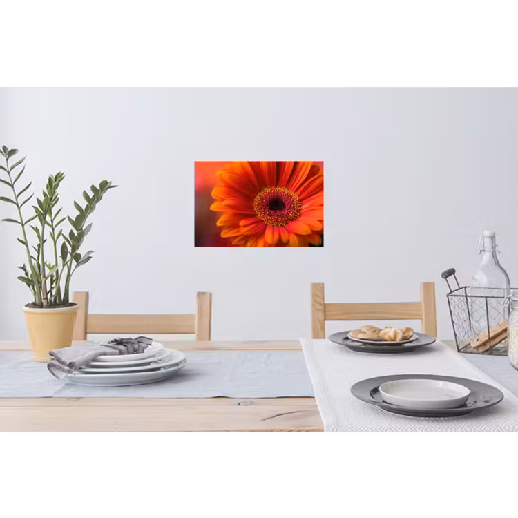 Oranje - Gerbera - Intens Muursticker klein -eettafel