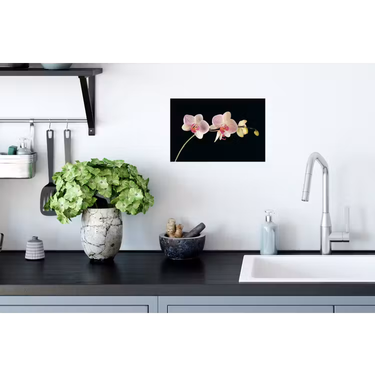 Orchidee - Bloemen - Zwart - Roze - Knoppen Muursticker klein -keuken
