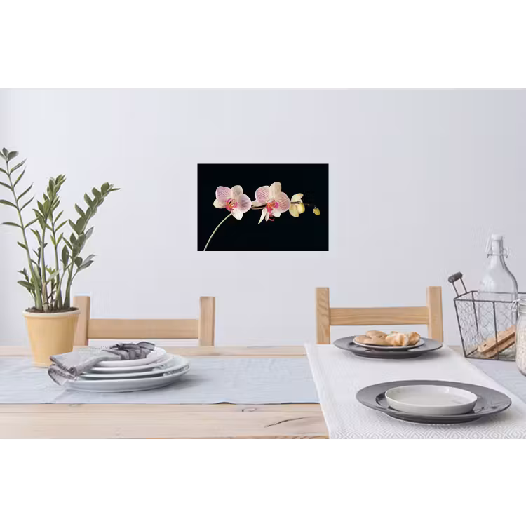 Orchidee - Bloemen - Zwart - Roze - Knoppen Muursticker klein -eettafel