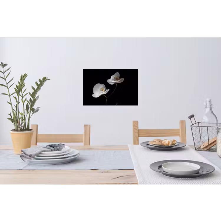 Orchidee - Bloemen - Zwart - Wit - Stilleven Muursticker klein -eettafel