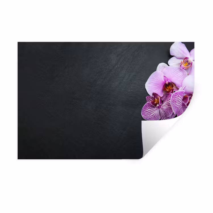 Orchidee - Bloemen - Roze - Flora Muursticker klein -3d