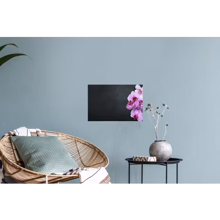 Orchidee - Bloemen - Roze - Flora Muursticker klein -plant