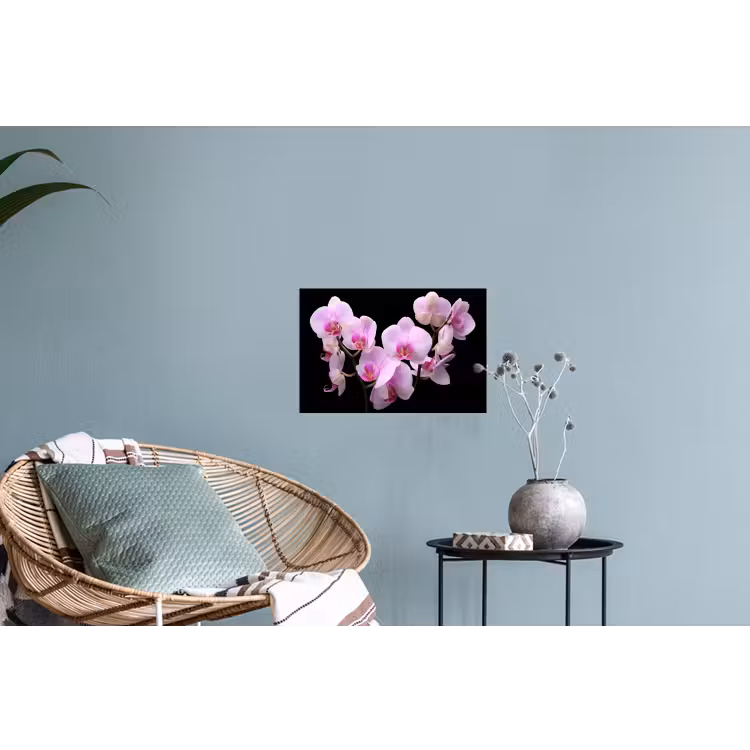 Orchidee - Bloemen - Roze - Flora Muursticker klein -plant