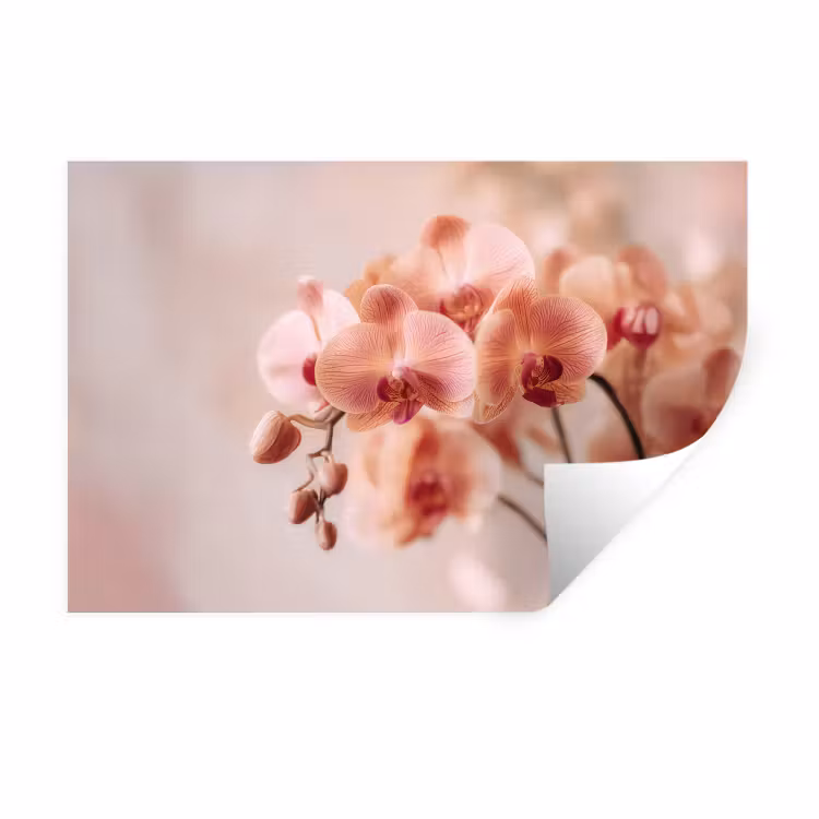Orchidee - Bloemen - Roze - Bloemblaadjes Muursticker klein -3d