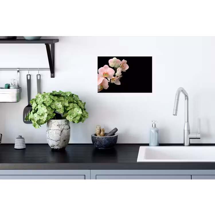 Orchidee - Bloemen - Roze - Stilleven - Flora Muursticker klein -keuken