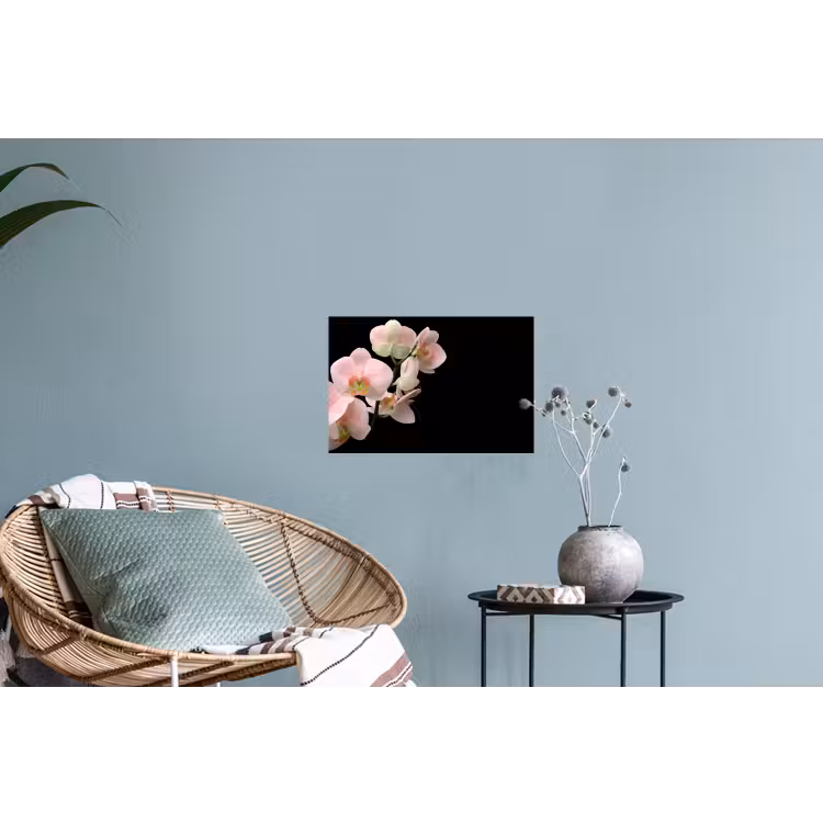 Orchidee - Bloemen - Roze - Stilleven - Flora Muursticker klein -plant