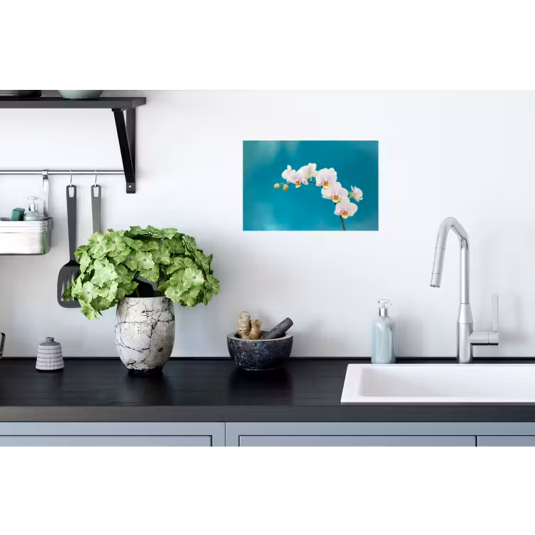 Orchidee - Bloemen - Plant - Wit - Paars Muursticker klein -keuken