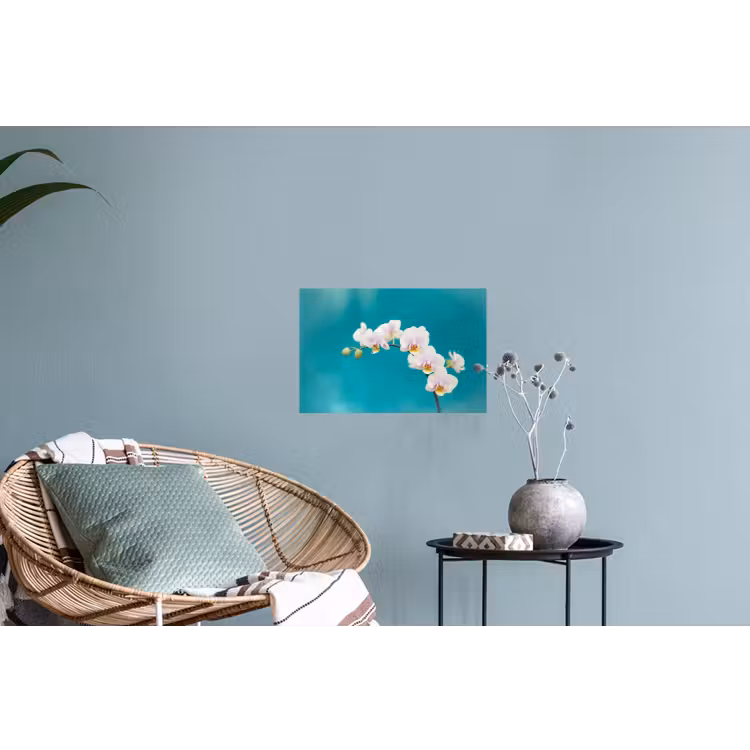 Orchidee - Bloemen - Plant - Wit - Paars Muursticker klein -plant