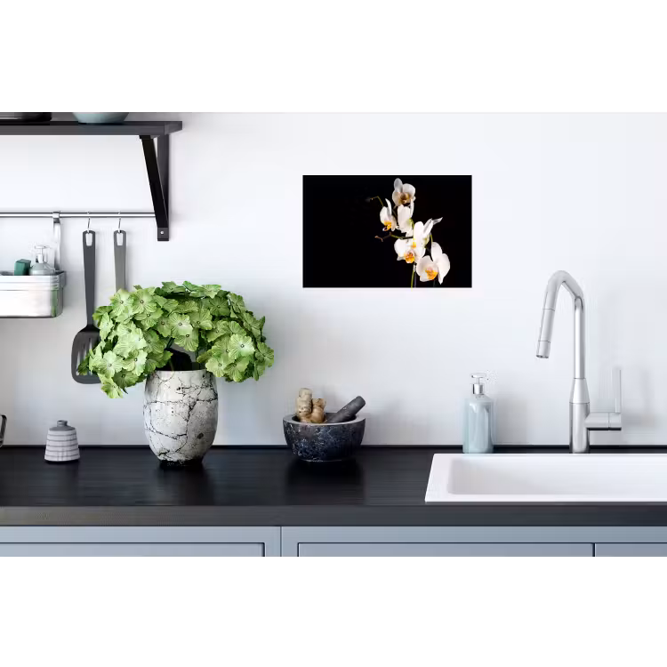 Orchidee - Bloemen - Planten - Botanisch Muursticker klein -keuken
