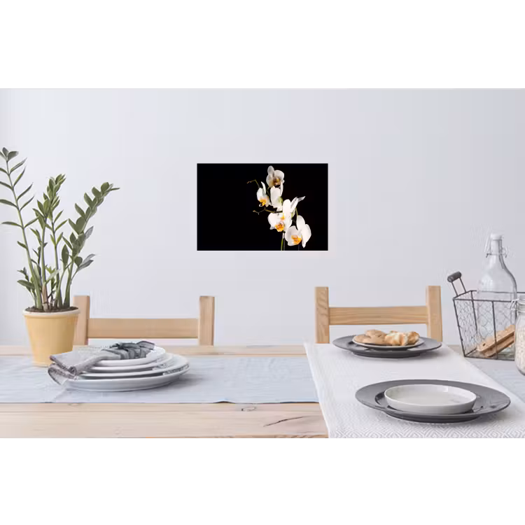 Orchidee - Bloemen - Planten - Botanisch Muursticker klein -eettafel