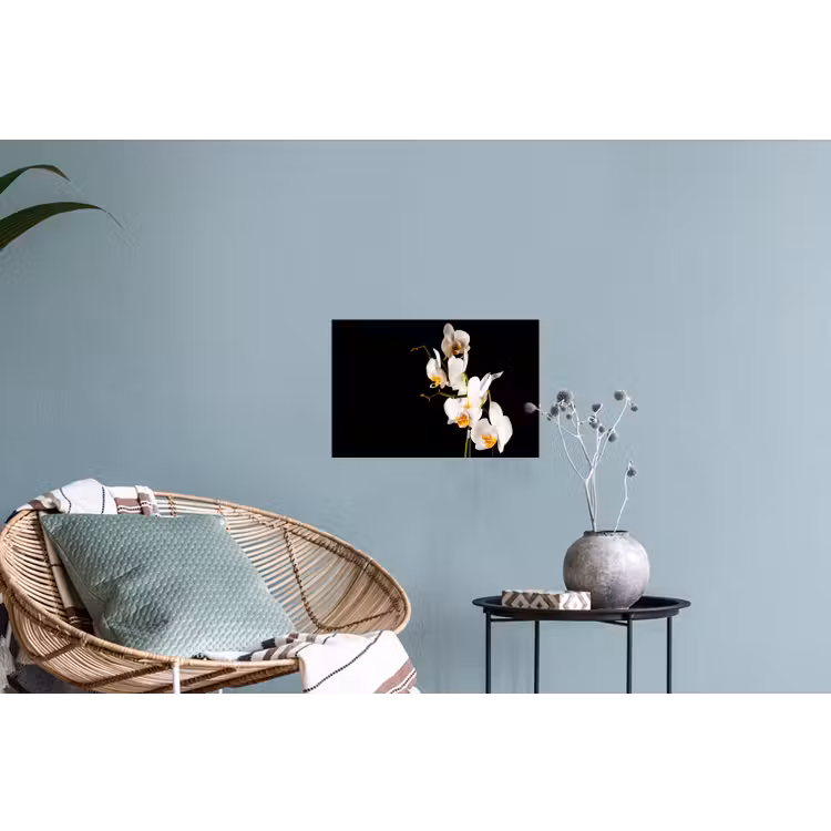 Orchidee - Bloemen - Planten - Botanisch Muursticker klein -plant