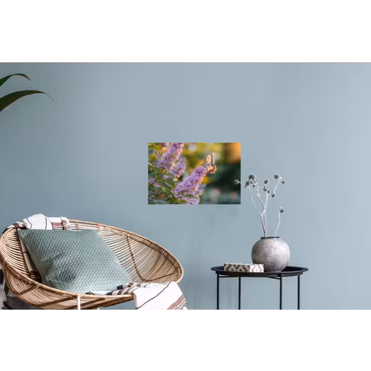 Sierlijke - Vlinder - Paarse - Bloemen Muursticker klein -plant