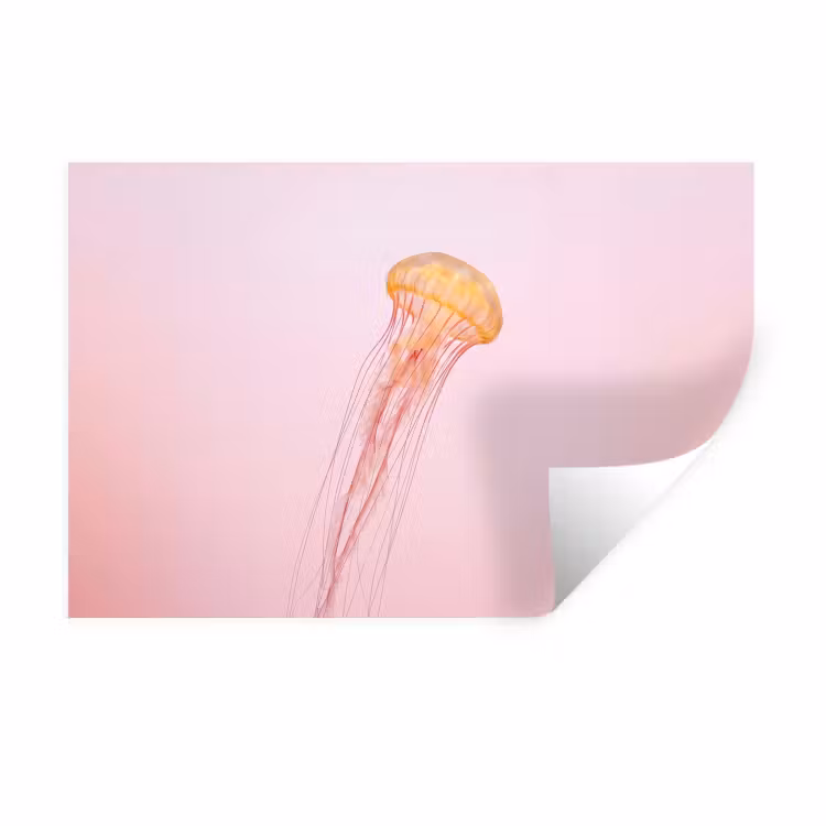 Sierlijk - Kwal - Roze Muursticker klein -3d