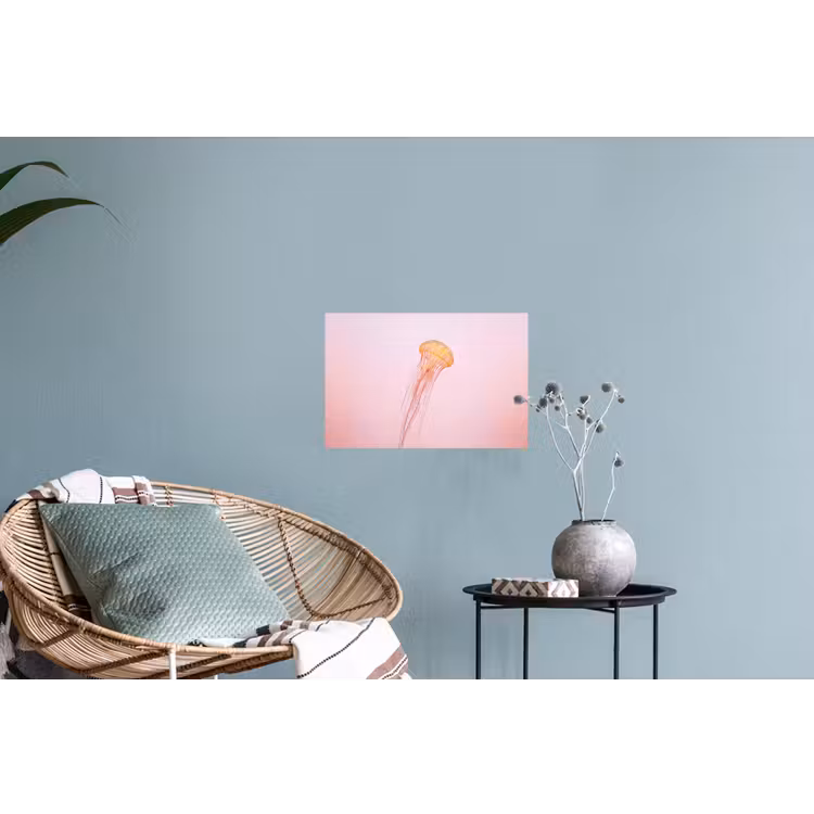 Sierlijk - Kwal - Roze Muursticker klein -plant