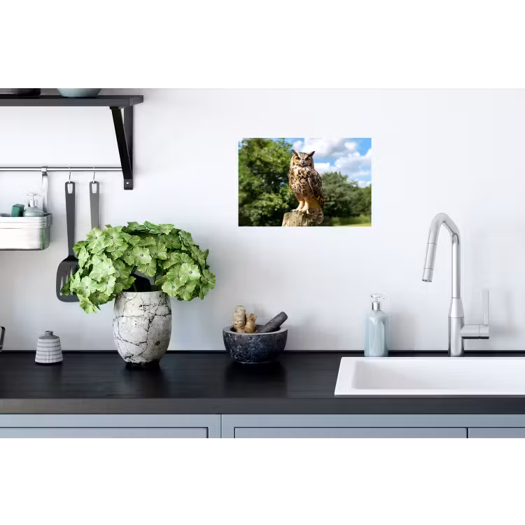 Uil - Boomstronk - Bos - Lucht Muursticker klein -keuken
