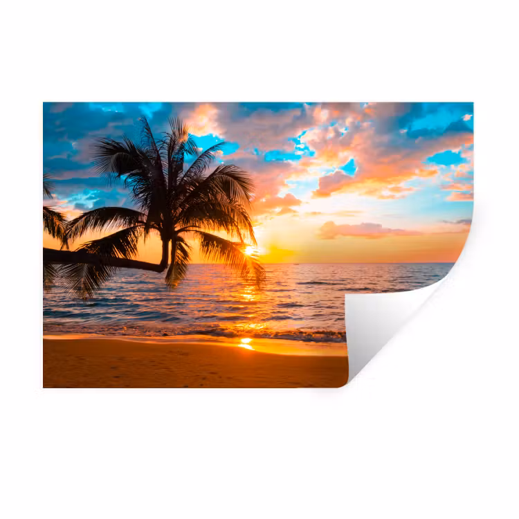 Palme - Sonnenuntergang - Horizont - Strand - Meer - Tropisch Muursticker klein -3d