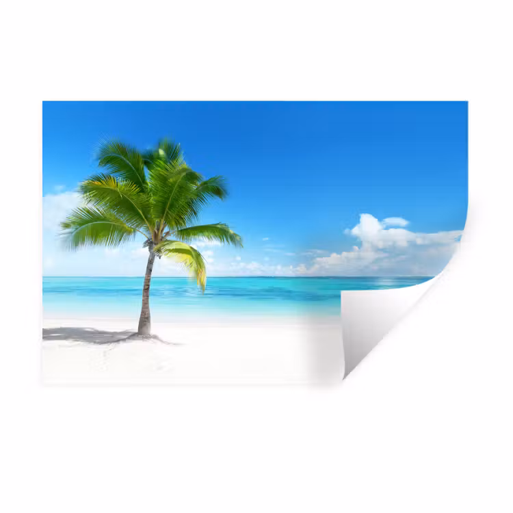 Palmboom - Strand - Zee - Zomer Muursticker klein -3d
