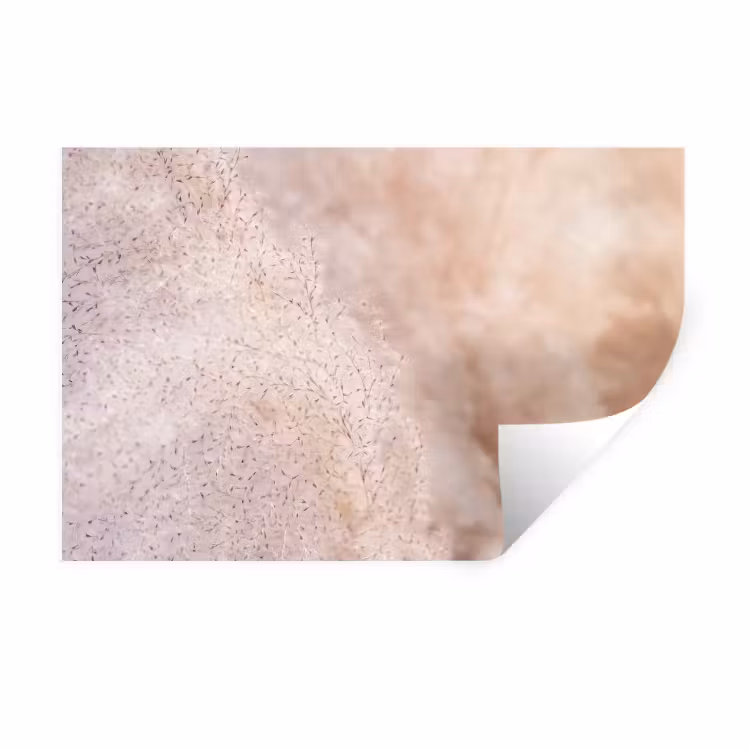 Pampagras met een zachte structuur uit de natuur Muursticker klein -3d