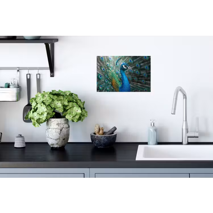 Pauw - Veren - Blauw Muursticker klein -keuken