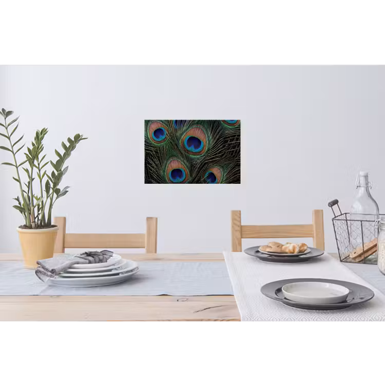 Pauwenveren - Klassiek - Groen Muursticker klein -eettafel