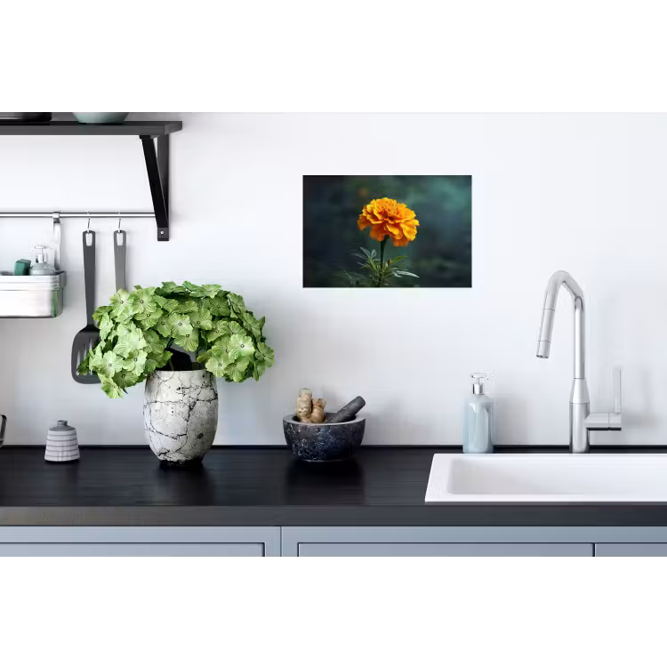 Bloemblaadjes - Afrikaan - Oranje - Wazig Muursticker klein -keuken