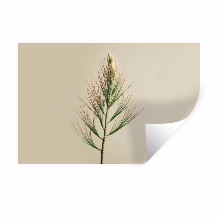Dennentak - Naaldvormige bladeren - Lichtgroen Muursticker klein -3d