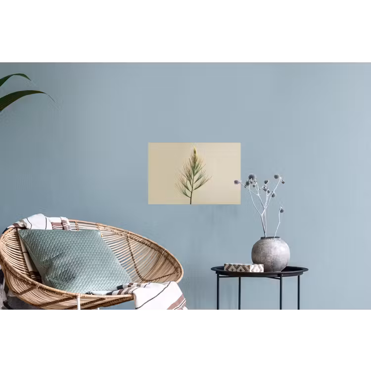 Dennentak - Naaldvormige bladeren - Lichtgroen Muursticker klein -plant